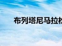 布列塔尼马拉松导演保罗·东斯科勒佐