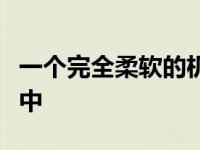 一个完全柔软的机器人在灵活和无限制的液体中
