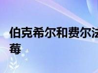 伯克希尔和费尔法克斯的最大持股是苹果和黑莓