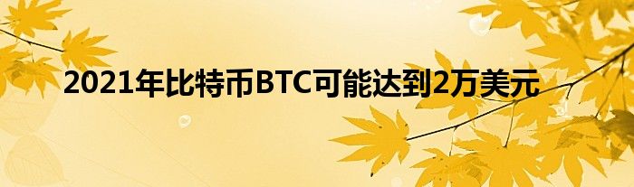 比特币 BTC 可能在 2021 年达到 20,000 美元