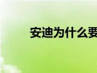 安迪为什么要忽悠迪伦？这是事实