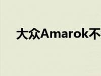 大众Amarok不知何故卖到了4.5万美元