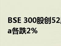 BSE 300股创52周新低 TCS Tech Mahindra各跌2%