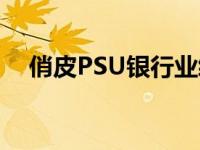 俏皮PSU银行业绩不佳被PNB·鲍勃拖累