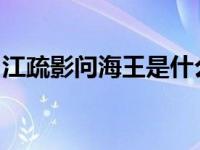 江疏影问海王是什么？网友调侃梁正贤是海王