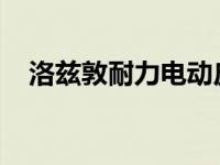 洛兹敦耐力电动皮卡内饰通过效果图展示