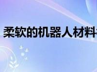 柔软的机器人材料被光击中会弯曲 旋转 爬行