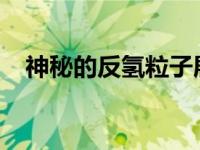 神秘的反氢粒子展现不可思议的量子效应