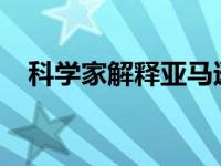 科学家解释亚马逊森林如何陷入恶性循环