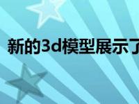 新的3d模型展示了天堂树蛇如何在空中飞行
