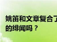 姚笛和文章复合了吗？文章离婚是因为和姚笛的绯闻吗？