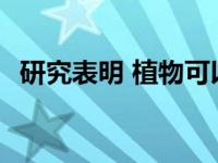 研究表明 植物可以伪装气味 以避免被吃掉