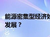 能源密集型经济如何在全球气候行动中生存和发展？