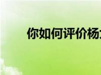 你如何评价杨九郎助人为乐的能力？