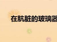 在肮脏的玻璃器皿中发现金属饮食细菌