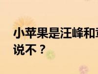 小苹果是汪峰和章子怡的后妈生的 对小苹果说不？