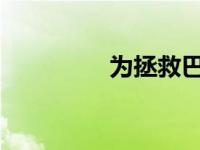 为拯救巴西热带湿地而战
