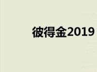 彼得金2019 NFL赛季超级碗预测