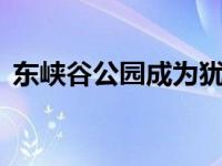 东峡谷公园成为犹他州第14个黑暗天空公园