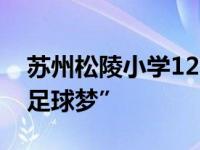 苏州松陵小学12岁男孩被昆山FC感动助力“足球梦”