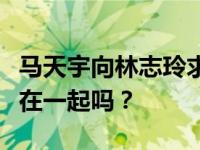 马天宇向林志玲求婚了什么？马天宇和林志玲在一起吗？