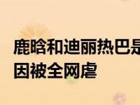 鹿晗和迪丽热巴是什么关系？热巴因为这个原因被全网虐