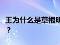 王为什么是草根明星？他是怎么进入娱乐圈的？