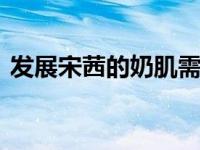 发展宋茜的奶肌需要什么条件？网友:真好看