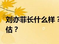 刘亦菲长什么样？她的颜值是否被外界严重高估？
