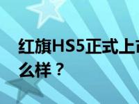 红旗HS5正式上市 红旗HS5的性能和价格怎么样？