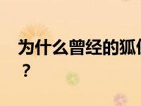 为什么曾经的狐侠冠军不红 现在却无人问津？
