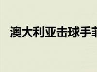 澳大利亚击球手菲尔·休斯因头部受伤死亡