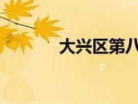 大兴区第八届京南杯成功举办
