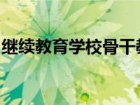 继续教育学校骨干教师语言领域小组培训活动