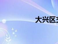 大兴区交流展成功举办