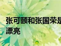 张可颐和张国荣是什么关系？一开始它们非常漂亮
