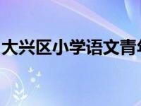 大兴区小学语文青年教师书法研讨班圆满结束