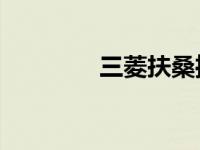 三菱扶桑推出新的eCanter