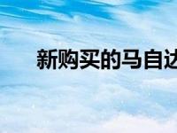 新购买的马自达CX-30 2021转向日本