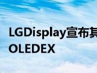LGDisplay宣布其下一代有机发光二极管技术OLEDEX
