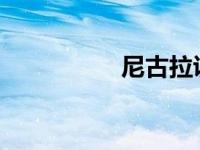 尼古拉说氢卡车从不跑