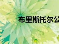布里斯托尔公开赛获得智慧城市奖