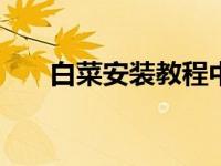 白菜安装教程中win7系统的安装步骤