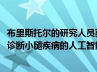 布里斯托尔的研究人员获得了EPSRC奖学金 以开发用于早期诊断小腿疾病的人工智能