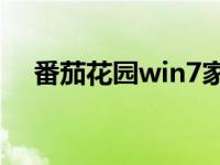 番茄花园win7家庭版64位系统正式下载