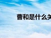 曹和是什么关系？曹的丈夫是谁？