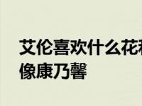 艾伦喜欢什么花和颜色 迪丽热巴说他看起来像康乃馨