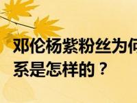 邓伦杨紫粉丝为何互撕？艾伦和安迪的私人关系是怎样的？