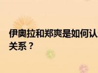 伊奥拉和郑爽是如何认识的？伊奥拉和郑爽之间有什么私人关系？