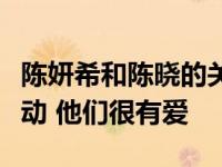 陈妍希和陈晓的关系怎么样？他们携手参加活动 他们很有爱